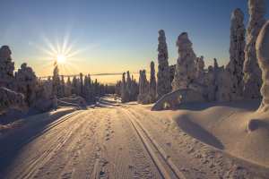 Finland winter view
